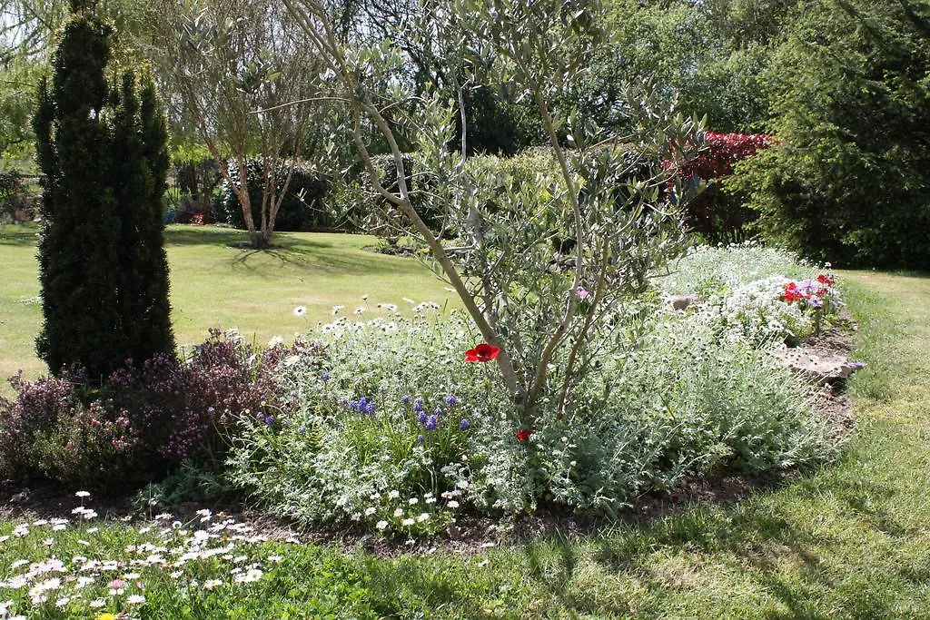 Un Vent De Fleurs Hotel Loctudy Guest house